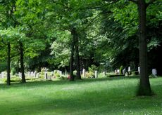 Friedhof 033.jpg